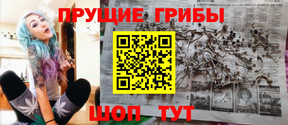 Апатиты  Псилоцибиновые грибы Psilocybine cubensis  Вход с VPN 