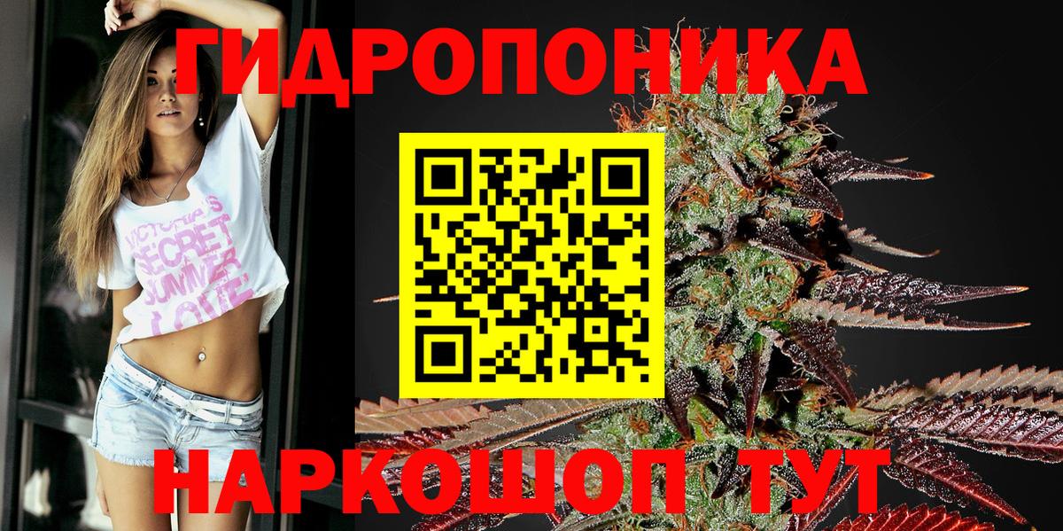 Бошки марихуана Ganja Апатиты